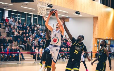 basketball professionnel