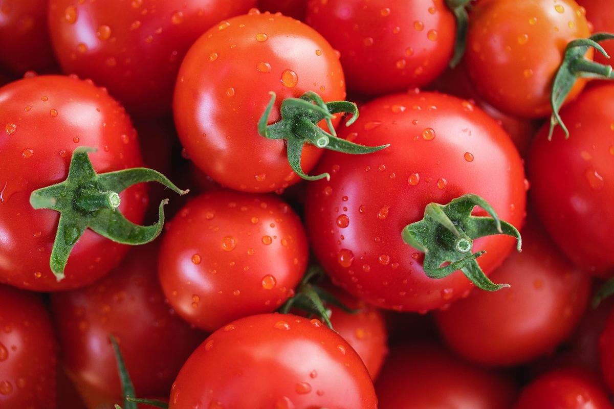 Tomates mûres avec feuilles vertes sur une surface Tomates mûres avec feuilles vertes sur une surface