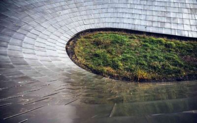 Courbe métallique encadrant une pelouse ovale dans un espace extérieur